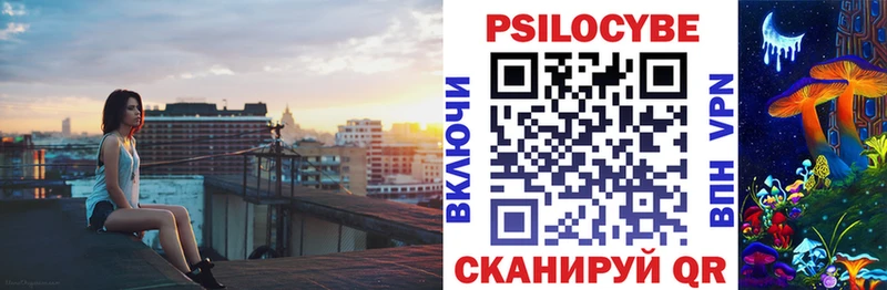 Галлюциногенные грибы Psilocybe  наркота  Волжск 