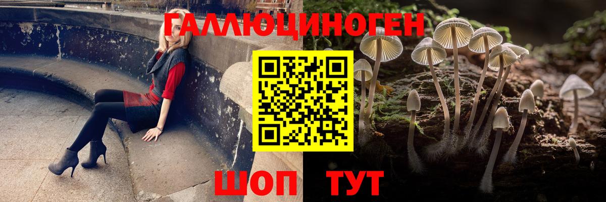 Псилоцибиновые грибы мицелий  Вход с VPN  где продают наркотики  Псилоцибиновые грибы GOLDEN TEACHER  Волжск 
